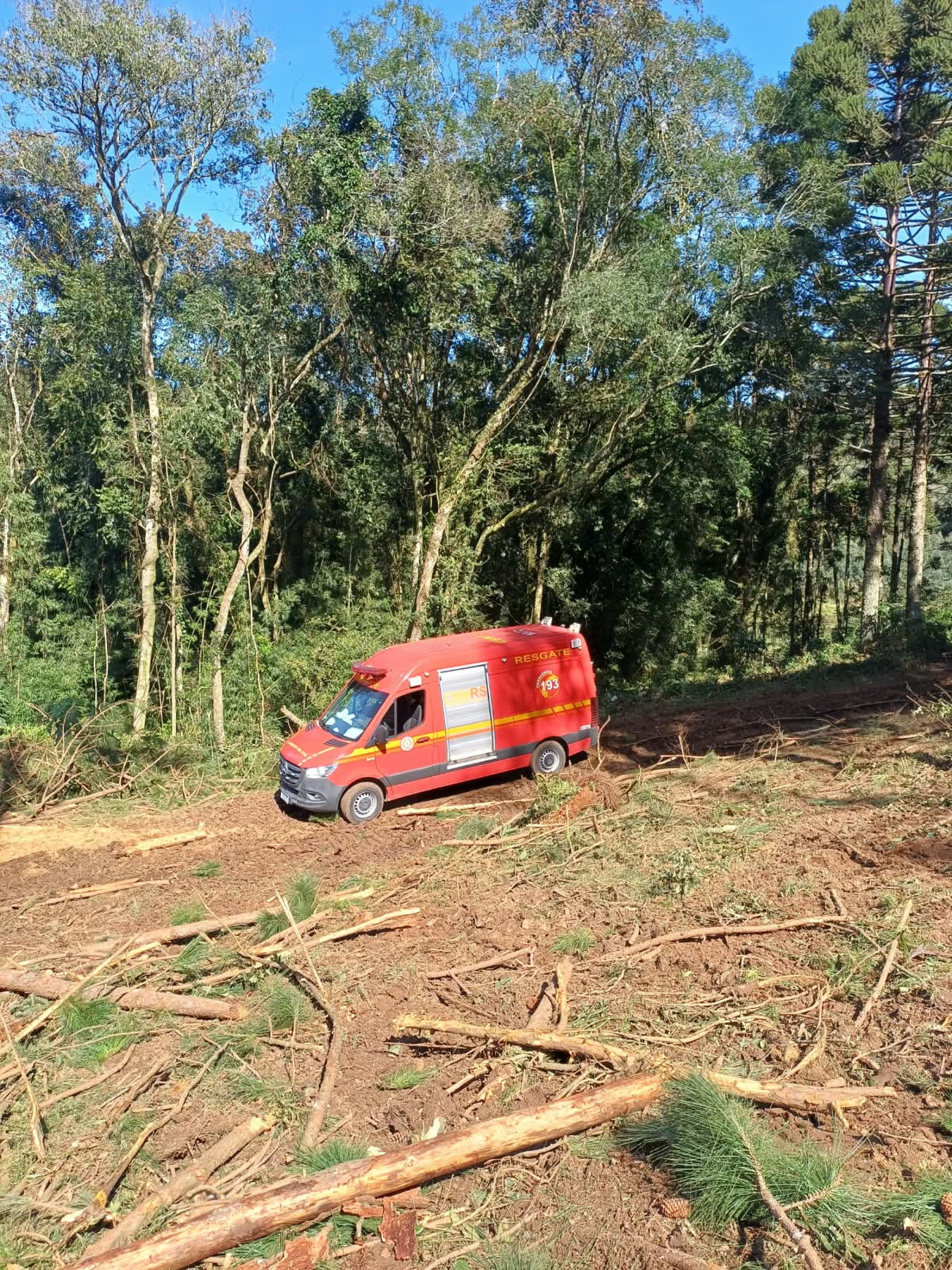 Homem morre após acidente durante corte de árvore no interior de Fontoura Xavier