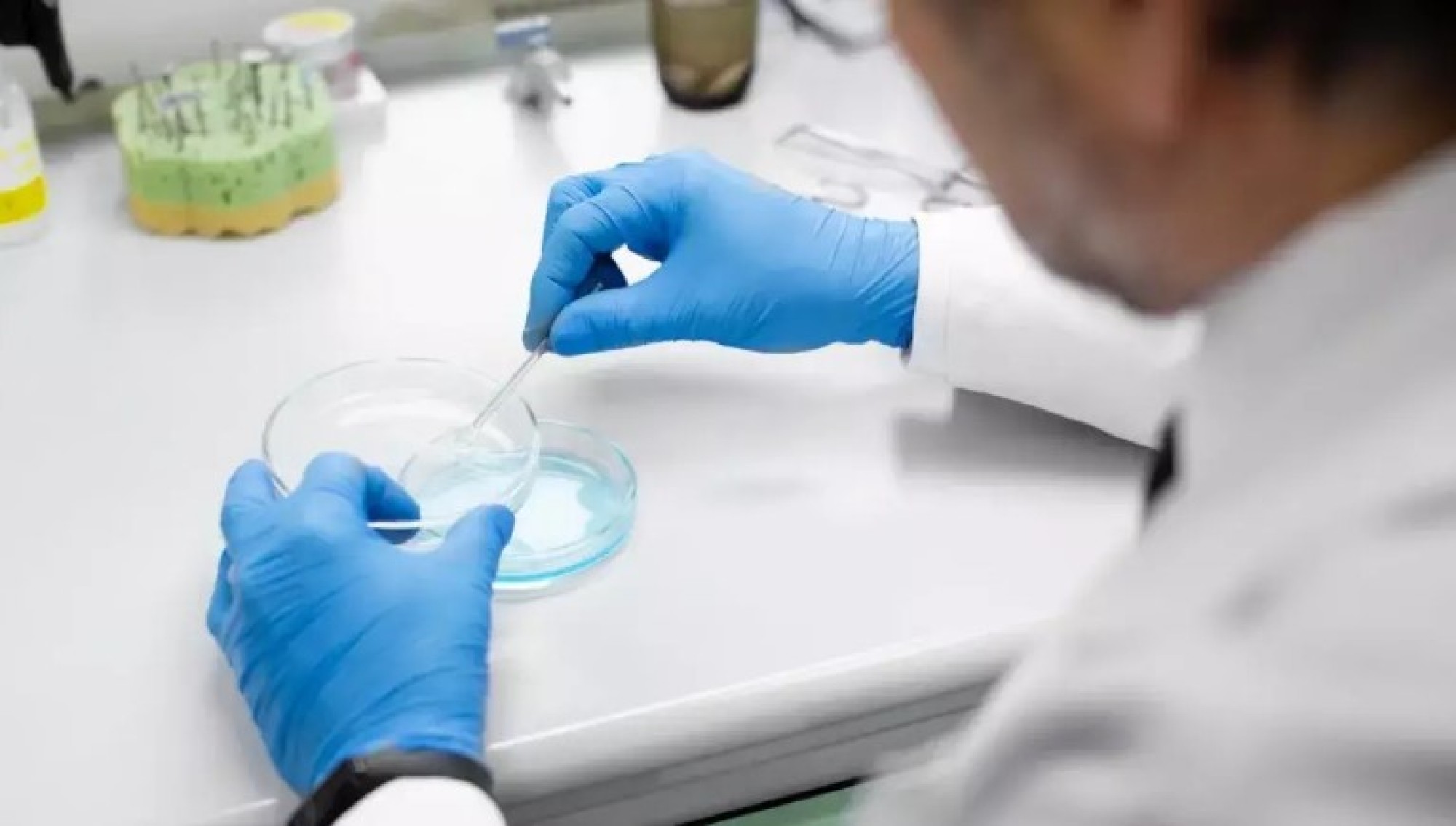 Exame toxicológico passa a ser obrigatório para tirar a carteira de habilitação de carro e moto no Brasil