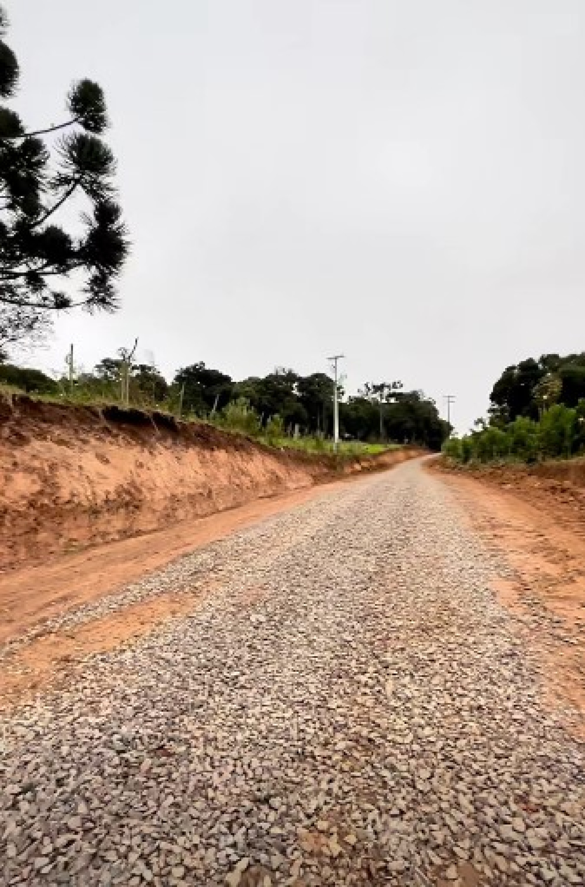 Estrada ampliada garante mais segurança e mobilidade no interior de Arvorezinha